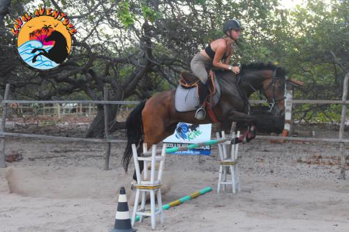 44 photo